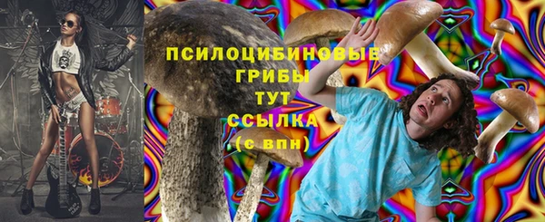 таблы Аркадак