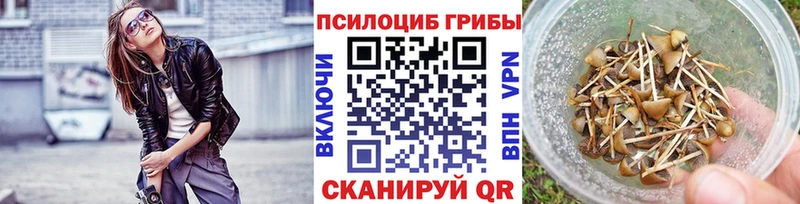 Псилоцибиновые грибы MAGIC MUSHROOMS  Каневская 